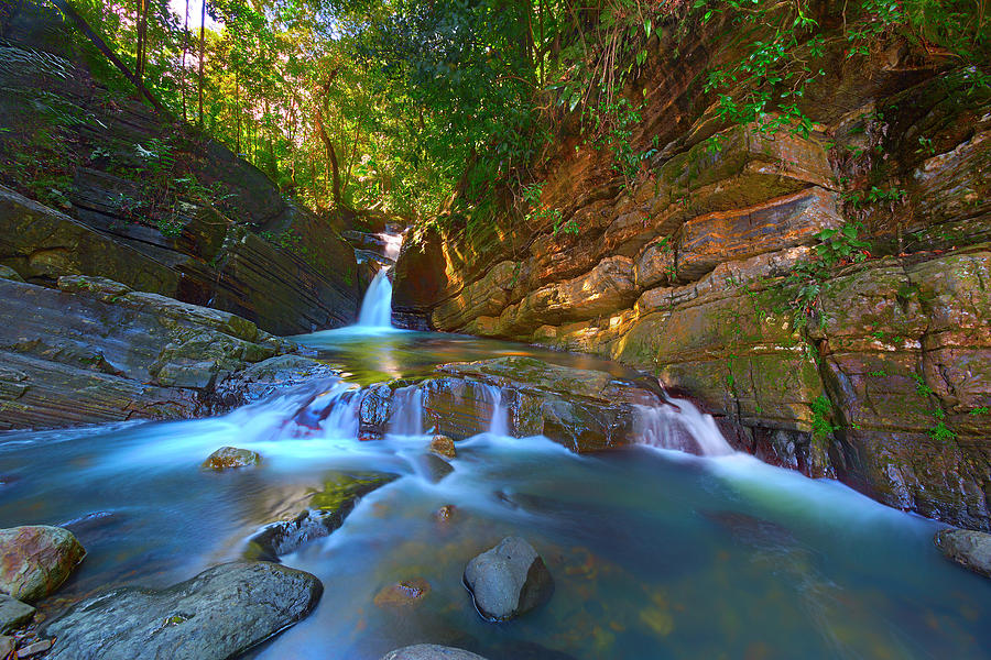 El Yunque Waterfall Tours & Tickets
